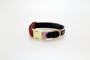 Klickhalsband Halsband Wonder Collars