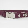 Accdog Biothane® Halsband Med Metall Spänne 25 mm Halsband Wonder Collars