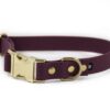 Accdog Biothane® Halsband Med Metall Spänne 25 mm Halsband Wonder Collars