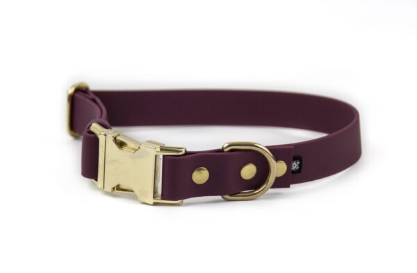 Accdog Biothane® Halsband Med Metall Spänne 25 mm Halsband Wonder Collars