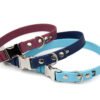 Accdog Biothane® Halsband Med Metall Spänne 25 mm Halsband Wonder Collars