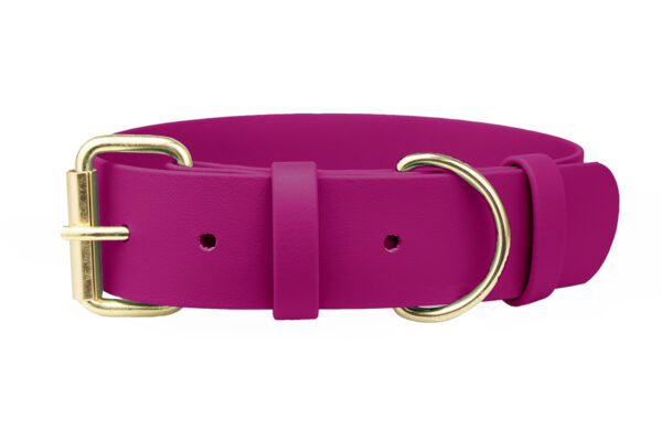 Accdog Biothane® Halsband 38 mm Fast halsband Wonder Collars