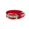 Accdog Biothane® Reflexhalsband 25 mm Halsband Wonder Collars