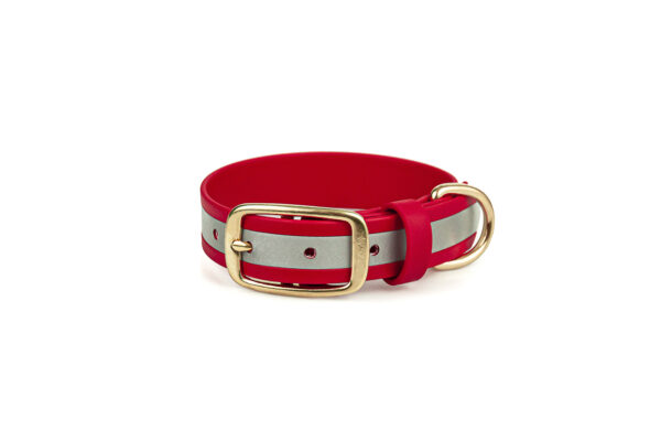 Accdog Biothane® Reflexhalsband 25 mm Halsband Wonder Collars