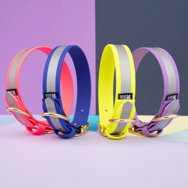 Accdog Biothane® Reflexhalsband 25 mm Halsband Wonder Collars