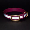 Accdog Biothane® Reflexhalsband 25 mm Halsband Wonder Collars