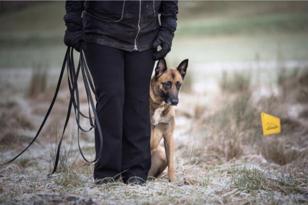 Accdog Biothane® Spårlina 9 mm Koppel Wonder Collars