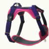 Wild Woof Wild Move Sele 25 mm Selar Wonder Collars