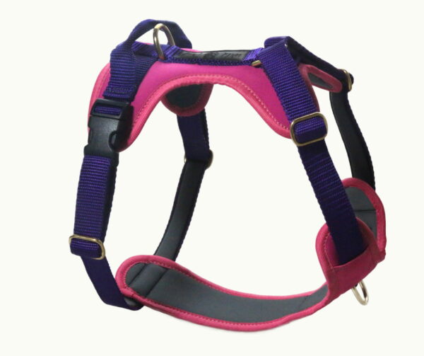 Wild Woof Wild Move Sele 25 mm Selar Wonder Collars