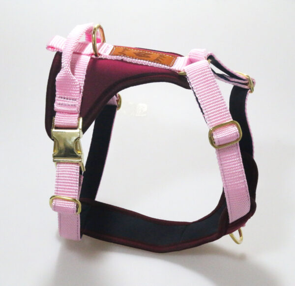 Wild Woof Wild Move Sele 20 mm Selar Wonder Collars