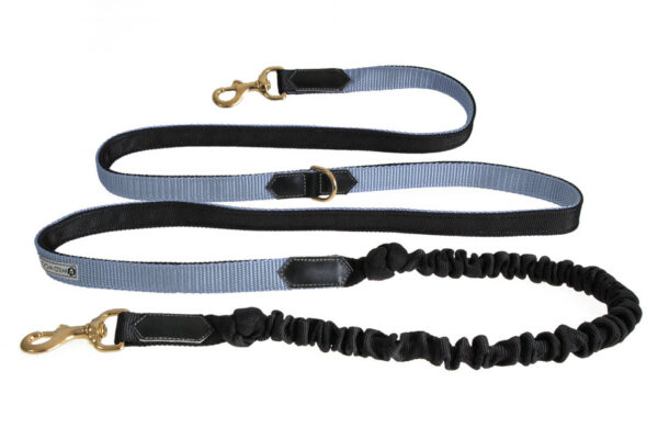 Wild Woof Expanderkoppel Med Dubbla Pistolhakar 25 mm Expander Wonder Collars