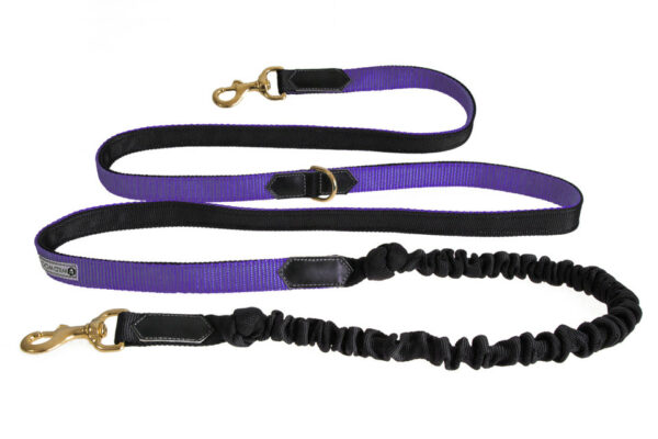 Wild Woof Expanderkoppel Med Dubbla Pistolhakar 25 mm Expander Wonder Collars