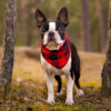 Wild Woof Scarf Tillbehör Wonder Collars