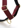 Wild Woof Guard Full Option Sele 25 mm Selar Wonder Collars