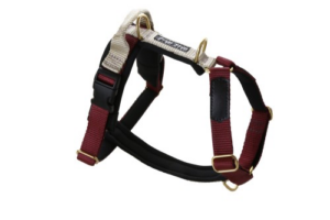 Wild Woof Guard Full Option Sele 25 mm Selar Wonder Collars