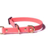 Accdog Biothane® Halvstryp Halsband 25 mm Halsband Wonder Collars