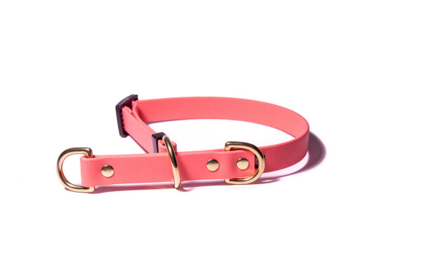 Accdog Biothane® Halvstryp Halsband 25 mm Halsband Wonder Collars