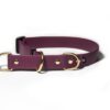 Accdog Biothane® Halvstryp Halsband 25 mm Halsband Wonder Collars