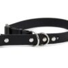 Accdog Biothane® Halvstryp Halsband 25 mm Halsband Wonder Collars