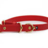 Accdog Biothane® Halvstryp Halsband 25 mm Halsband Wonder Collars