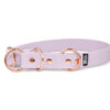 Accdog Biothane® Halvstryp Halsband 25 mm Halsband Wonder Collars