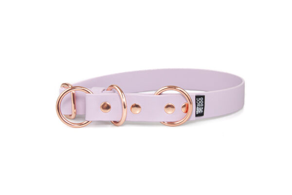 Accdog Biothane® Halvstryp Halsband 25 mm Halsband Wonder Collars