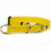 Accdog Biothane® Halvstryp Halsband 25 mm Halsband Wonder Collars