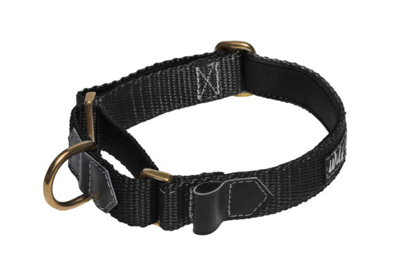 Wild Woof Martingale 30 mm Halsband Wonder Collars