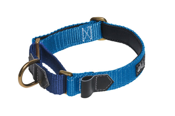 Wild Woof Martingale 30 mm Halsband Wonder Collars