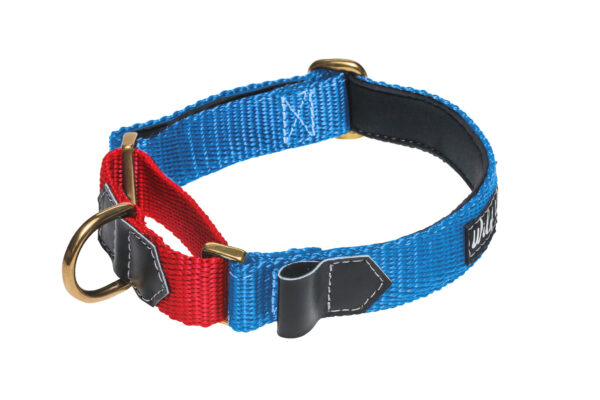 Wild Woof Martingale 30 mm Halsband Wonder Collars