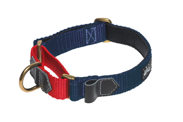 Wild Woof Martingale 30 mm Halsband Wonder Collars