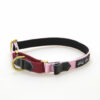 Wild Woof Martingale 20 mm Halsband Wonder Collars