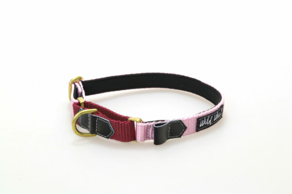 Wild Woof Martingale 20 mm Halsband Wonder Collars