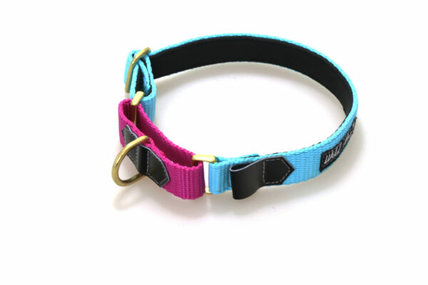 Wild Woof Martingale 20 mm Halsband Wonder Collars