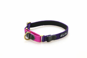 Martingale Halsband Wonder Collars