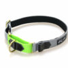 Wild Woof Martingale 20 mm Halsband Wonder Collars