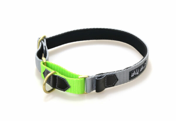 Wild Woof Martingale 20 mm Halsband Wonder Collars