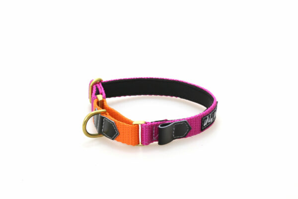 Wild Woof Martingale 20 mm Halsband Wonder Collars