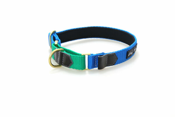 Wild Woof Martingale 20 mm Halsband Wonder Collars