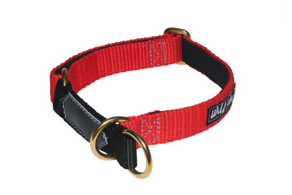 Wild Woof Halvstryp 25 mm Halsband Wonder Collars