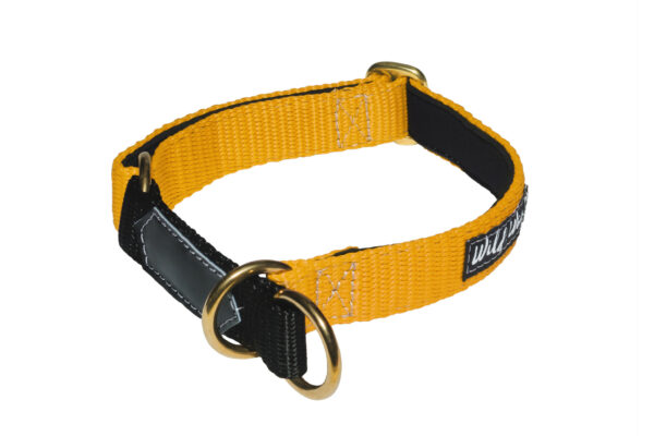 Wild Woof Halvstryp 25 mm Halsband Wonder Collars