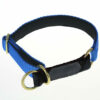 Wild Woof Halvstryp 25 mm Halsband Wonder Collars