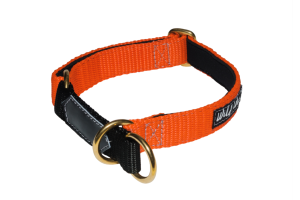 Wild Woof Halvstryp 40 mm Halsband Wonder Collars