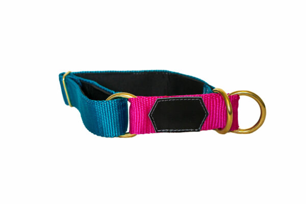 Wild Woof Halvstryp 40 mm Halsband Wonder Collars