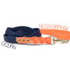 Accdog Biothane® Rainbow City Koppel 19 mm Koppel Wonder Collars