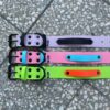 Accdog Biothane® Rainbow Halsband 38 mm Halsband Wonder Collars