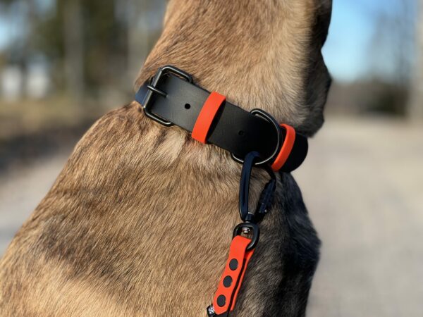 Accdog Biothane® Rainbow Halsband 38 mm Halsband Wonder Collars