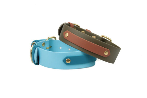 Accdog Biothane® Rainbow Halsband 38 mm Halsband Wonder Collars