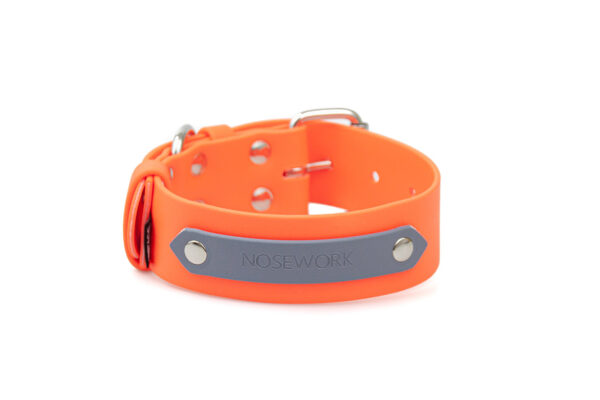 Accdog Biothane® Rainbow Halsband 38 mm Halsband Wonder Collars