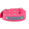 Accdog Biothane® Rainbow Halsband 38 mm Halsband Wonder Collars